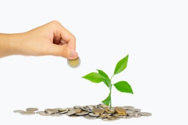 Adamın el ele tutuştuğu ağaç para basıyor. Beyaz arkaplanı ayır..