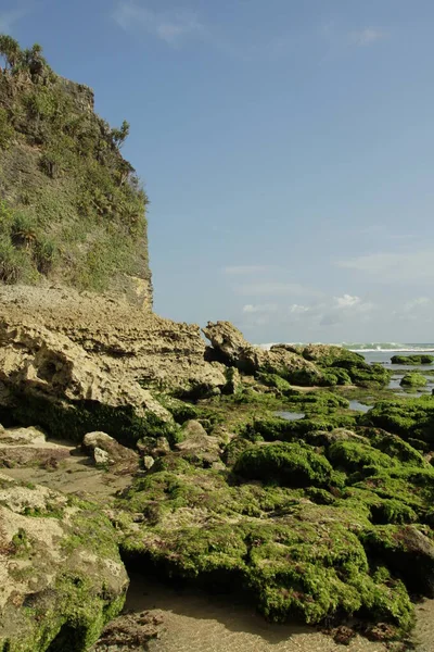 Los Arrecifes Coral Playa Están Cubiertos Musgo Verde —  Fotos de Stock