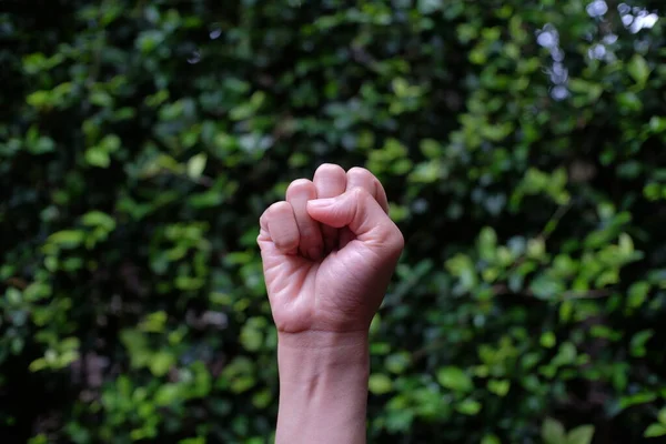 Women Hands Clenched Fists Green Plant Background Often Interpreted Hand — Stock Photo, Image