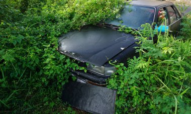 Tasikmalaya, Endonezya, 30 Haziran 2017. Siyah sedan araba, etrafını çalılar kaplayana kadar terk edilmişti.