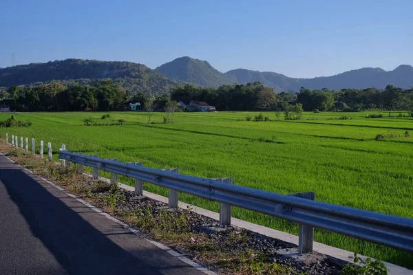 Ein Stück Grüne Reisfelder Mit Hügeln Als Weitestem Hintergrund Und — Stockfoto