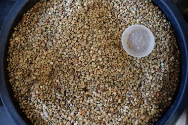 Kızartmadan önce çiğ kahve..