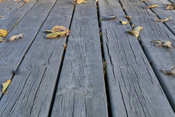 Alter Holzboden Mit Ein Paar Blättern — Stockfoto