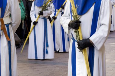 Pazar palm holly hafta