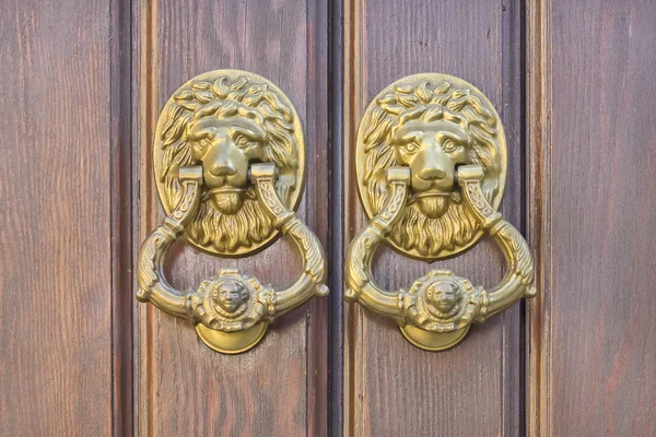 Aslan altın göğüsleri