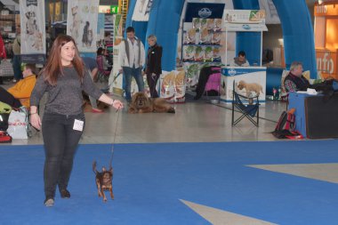 Uluslararası köpek Brünn, Duo CACIB göster 