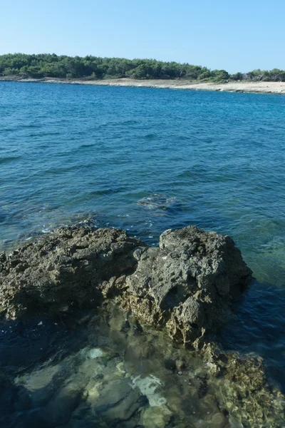 Rocky coast after  sunrise in the summer morning in Croatia — Stock Photo, Image