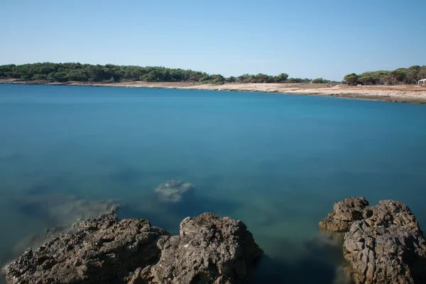 在夏天的早晨日出后在克罗地亚的岩石海岸 — 图库照片