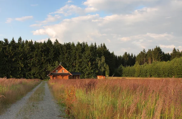 Meadow, di kabin kayu latar — Stok Foto