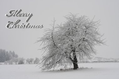 Merry Christmas-kış ağaç