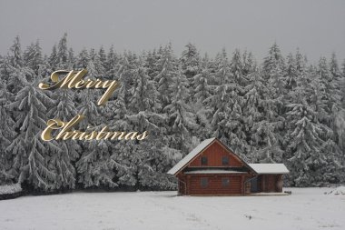 Neşeli Noel kış günlük kabin