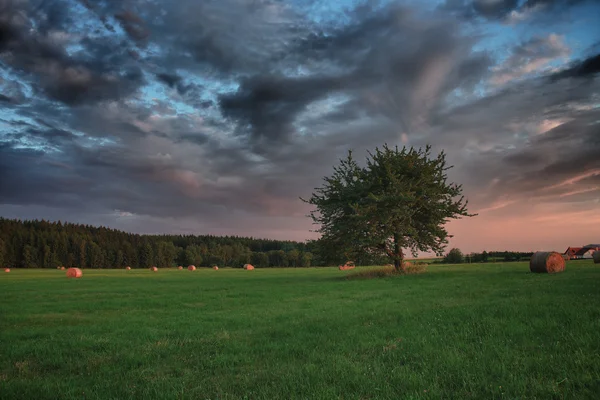 Hooibalen en eenzame boom op een weide tegen mooie hemel met wolken in zonsondergang in hdr foto — Stockfoto