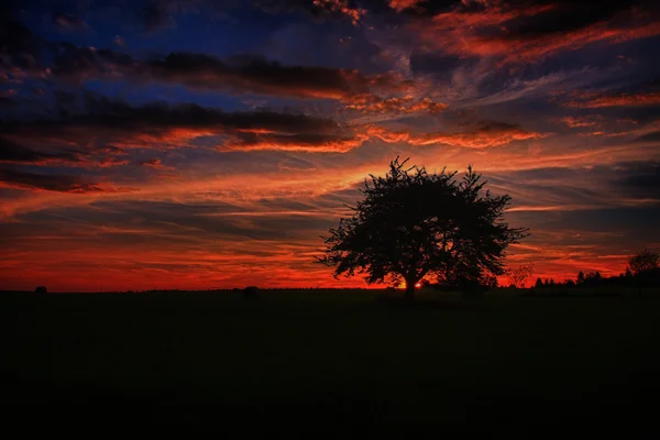 Balíky sena a osamělý strom na louce proti krásné nebe s mraky v západu slunce v hdr fotografie — Stock fotografie