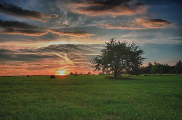 Fay fardos e árvore solitária em um prado contra o céu bonito com nuvens no pôr do sol na foto hdr — Fotografia de Stock