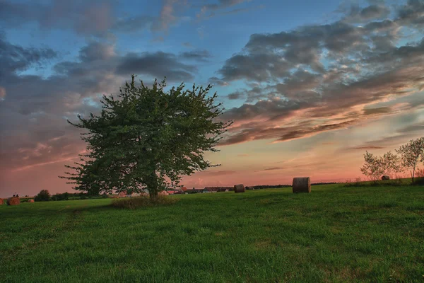 Heuballen und einsamer Baum auf einer Wiese vor einem schönen Himmel mit Wolken im Sonnenuntergang in hdr Foto — Stockfoto