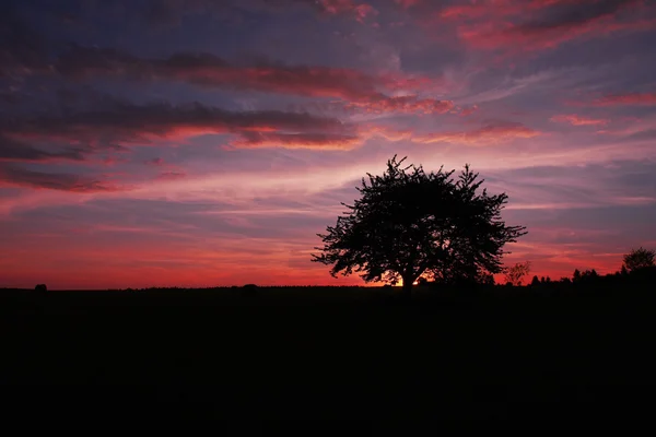 Balíky sena a osamělý strom na louce proti krásné nebe s mraky v západu slunce v hdr fotografie — Stock fotografie