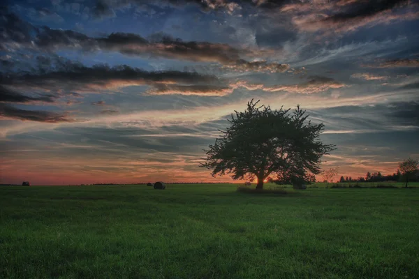 Balíky sena a osamělý strom na louce proti krásné nebe s mraky v západu slunce v hdr fotografie — Stock fotografie