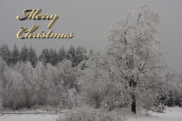 Merry Christmas-kış ağaç — Stok fotoğraf