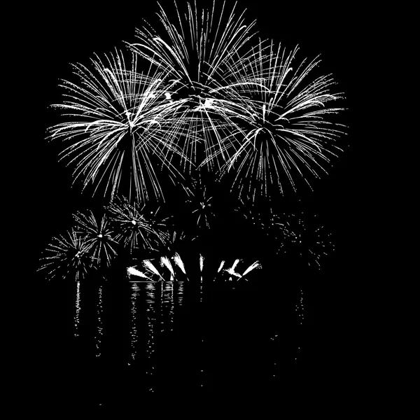 Feux d'artifice avec réflexion sur le lac — Image vectorielle