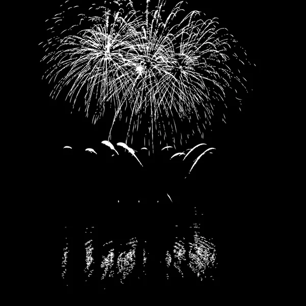 Feux d'artifice avec réflexion sur le lac — Image vectorielle