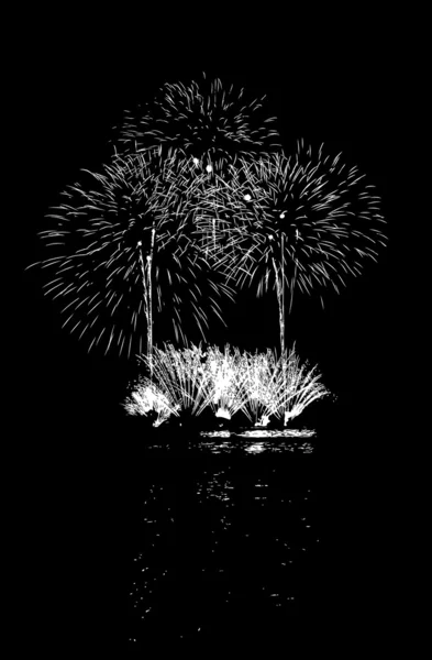 Feux d'artifice avec réflexion sur le lac — Image vectorielle