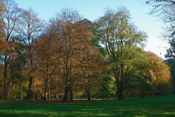 Herbstpark am letzten sonnigen Tag — Stockfoto
