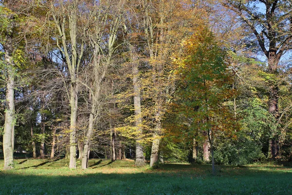 Őszi park utolsó napsütéses napon — Stock Fotó