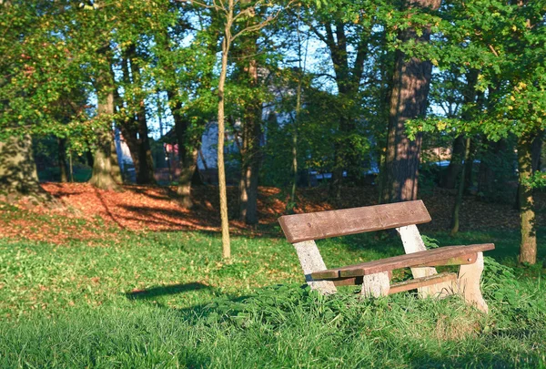 Banco de madera en el parque — Foto de stock © Imagenet #319222080