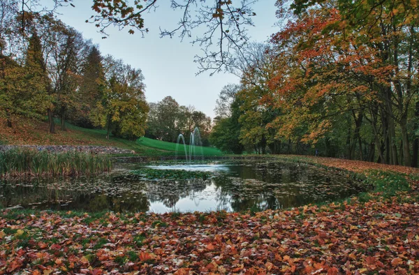 Parque de otoño y estanque — Foto de Stock