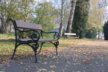 Tezgah son güneşli gün Sonbahar Park.