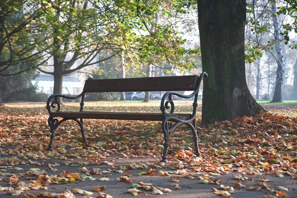 Bench in autumn park in fog morning — Stock Photo, Image