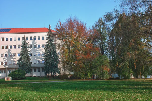 Νοσοκομείο και το φθινόπωρο πάρκο, όπου οι ασθενείς μπορούν να περπάτημα — Φωτογραφία Αρχείου