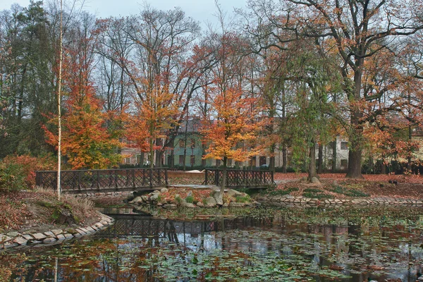 Φθινοπωρινό πάρκο στην πόλη με αντανάκλαση — Φωτογραφία Αρχείου