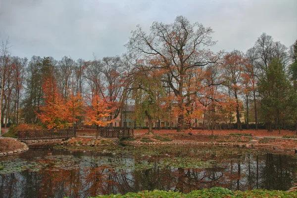 Parque de otoño en la ciudad con reflexión — Foto de Stock