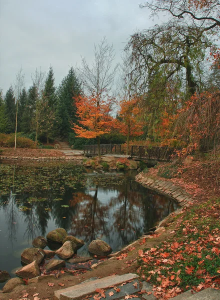 Parque de otoño en la ciudad con reflexión — Foto de Stock