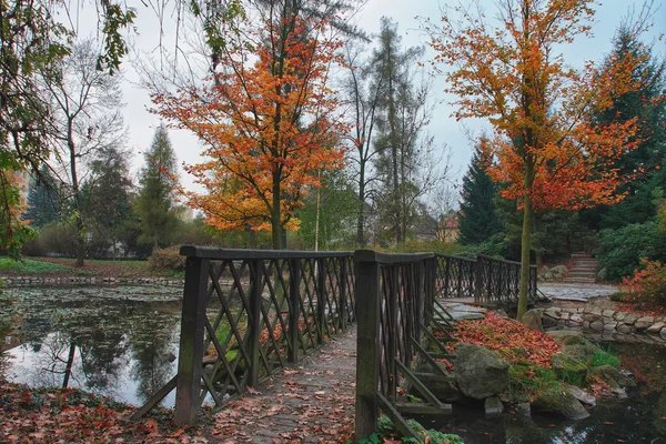 Parque de otoño en la ciudad con reflejo en un pequeño lago y puente — Foto de Stock