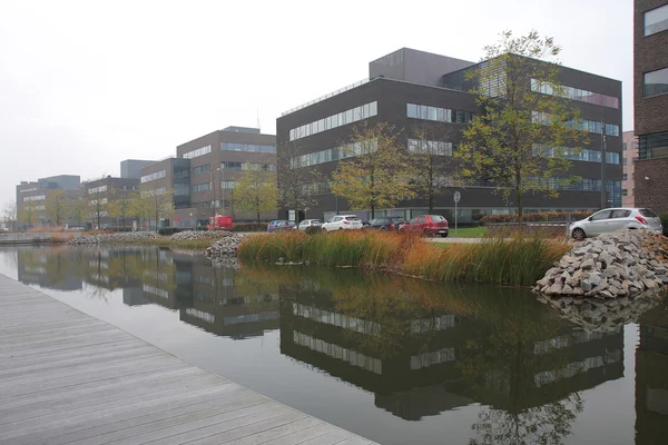 stock image Office centre with park and fish-stocked lake.