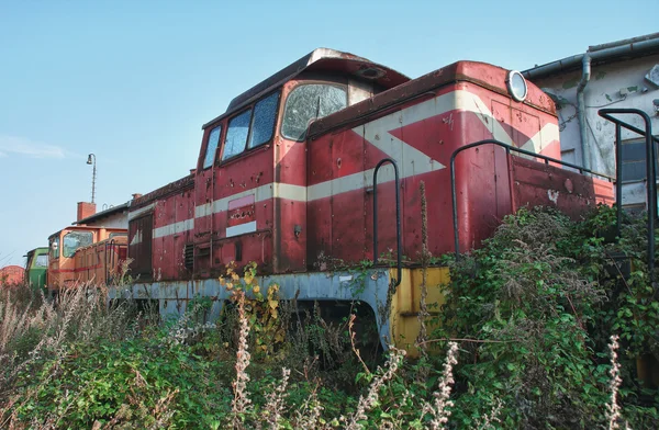 Viejos trenes abandonados en el depósito en un día soleado — Foto de Stock