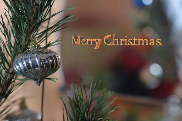 Noel biblo renk arka plan üzerinde ağaç üzerinde — Stok fotoğraf