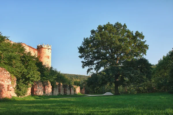 大きな古いオークの木と城遺跡 — ストック写真