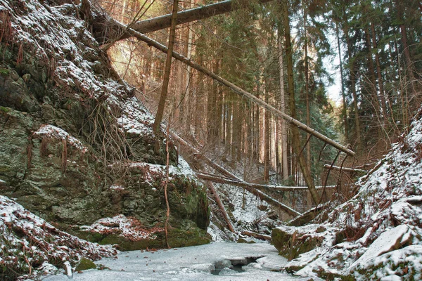 Alberi caduti danneggiati sul torrente in valle in inverno dopo forte — Foto Stock