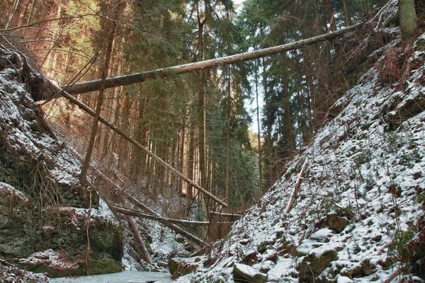 Alberi caduti danneggiati sul torrente in valle in inverno dopo forti s — Foto Stock