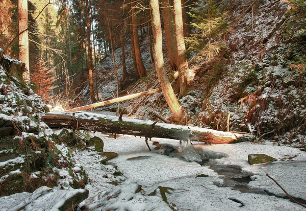 Winter creek in  the valley in  parkland in February — Stock Photo, Image