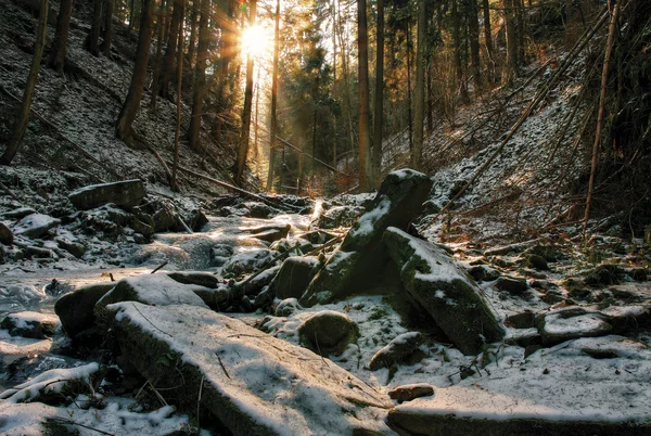 Torrente invernale nella valle nel parco nel mese di febbraio — Foto Stock