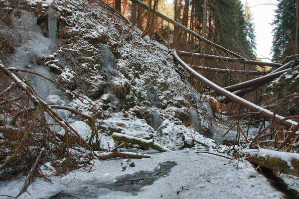 Damaged fallen trees on creek in valley in winter  after strong 
