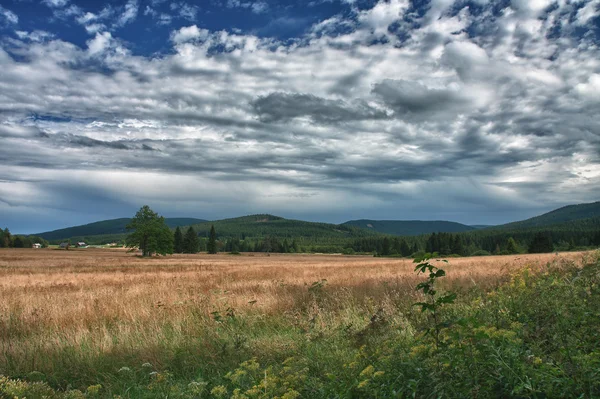 Letní krajina v zamračený den — Stock fotografie