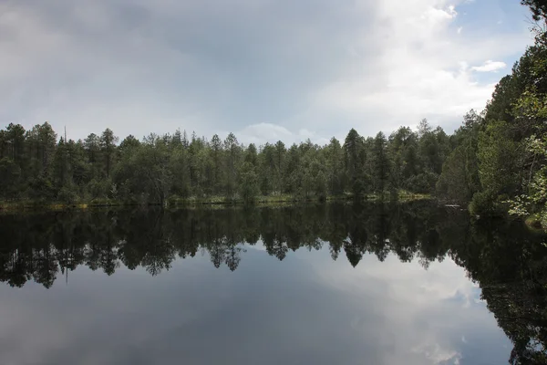 Lac en forêt avec reflet des arbres et ciel — Photo