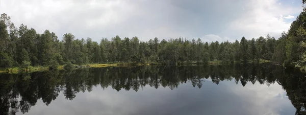 Озеро в лесу с отражением деревьев и неба — стоковое фото