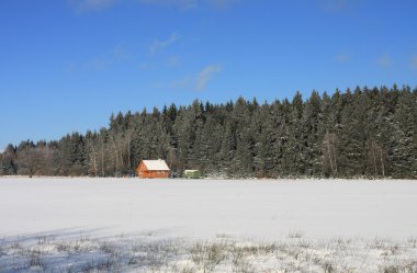 Kışın orman ahşap yazlık 