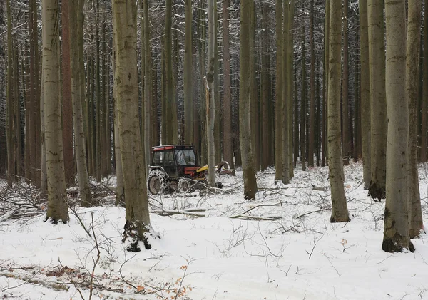 Trattore nella foresta in inverno — Foto Stock